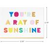 Hallmark Bright and Bold Card Assortment (24 Blank Cards with Envelopes) Pink, Orange, Blue, Gold
