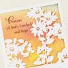 Hallmark DaySpring Religious Sympathy Card (Better Place)(God’s Comfort and Hope)
