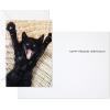 Hallmark Pack of Funny Birthday Cards, Excited Cat (6 Birthday Cards with Envelopes)(Black Cat)