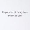 Hallmark Pack of Funny Birthday Cards, Excited Cat (6 Birthday Cards with Envelopes)(Happy Birthday Candles)