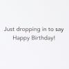 Hallmark Pack of Funny Birthday Cards, Excited Cat (6 Birthday Cards with Envelopes)(Puppy)