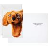 Hallmark Pack of Funny Birthday Cards, Excited Cat (6 Birthday Cards with Envelopes)(Puppy)