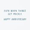 Hallmark Shoebox Funny Anniversary Card for Husband, Wife, Partner (Cactus)(11 (Pack of 2))
