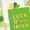 Hallmark St. Patrick’s Day Card Assortment (24 Blank Cards with Envelopes) for Kids, Teens, Friends(St. Patrick’s Day Wishes Card Assortment)