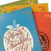 Hallmark Thanksgiving Cards Assortment, Rustic Wood Grain Designs (16 Assorted Cards with Envelopes)(Rustic Cards  16 Pack)