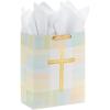 1 Count (Pack of 1)