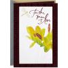 Hallmark Birthday Card for Husband or Boyfriend (Deer)(Man I Love)