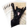 Black Cat Black Cat