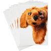 Hallmark Pack of Funny Birthday Cards, Excited Cat (6 Birthday Cards with Envelopes)(Puppy)