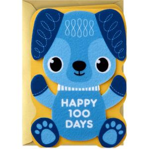 Hallmark Eight Bamboo Baby’s First 100 Days Card for Baby Boy (Welcome to the World)