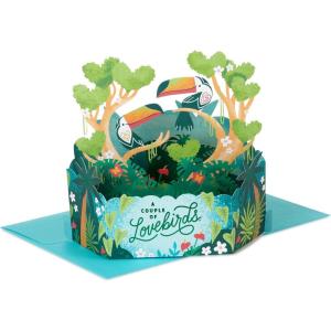 Hallmark Paper Wonder Valentine’s Day Pop Up Card (A Couple of Lovebirds) for Anniversary, Engagement, Romantic Birthday, Everyday Love
