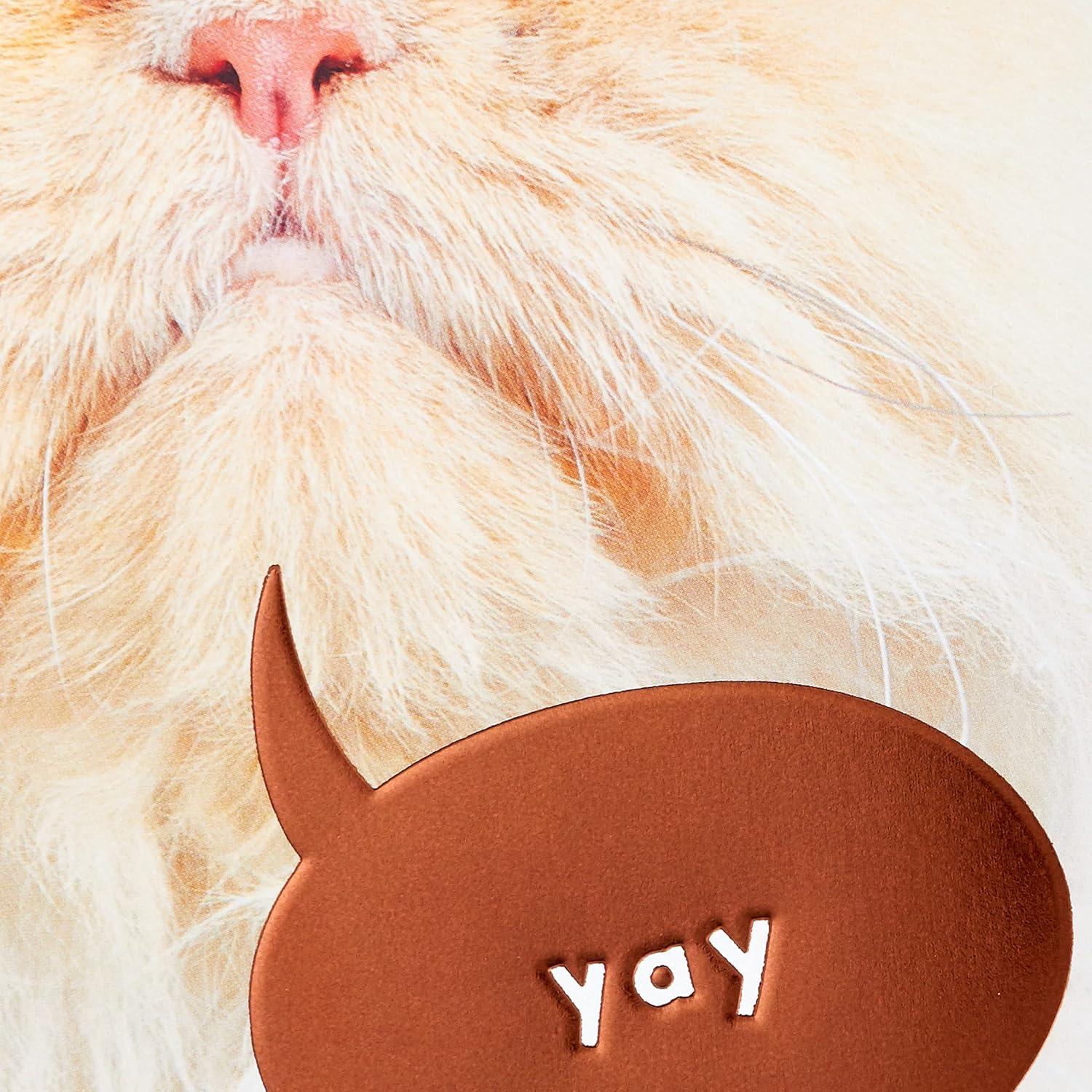 imageHallmark Cat Mom Card from Cat Glad I Adopted You for Mothers Day Birthday Kitten Adoption DayBrown