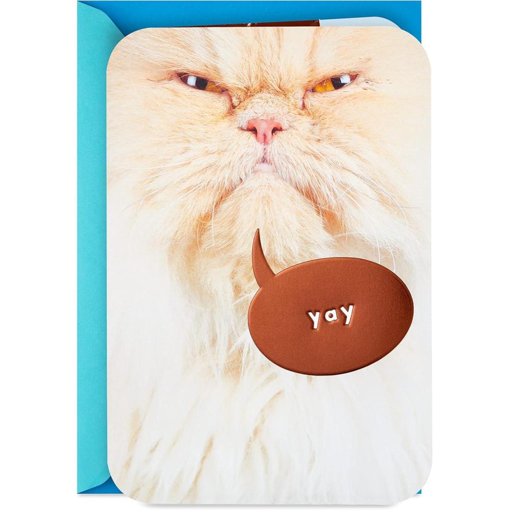 imageHallmark Cat Mom Card from Cat Glad I Adopted You for Mothers Day Birthday Kitten Adoption DayBrown