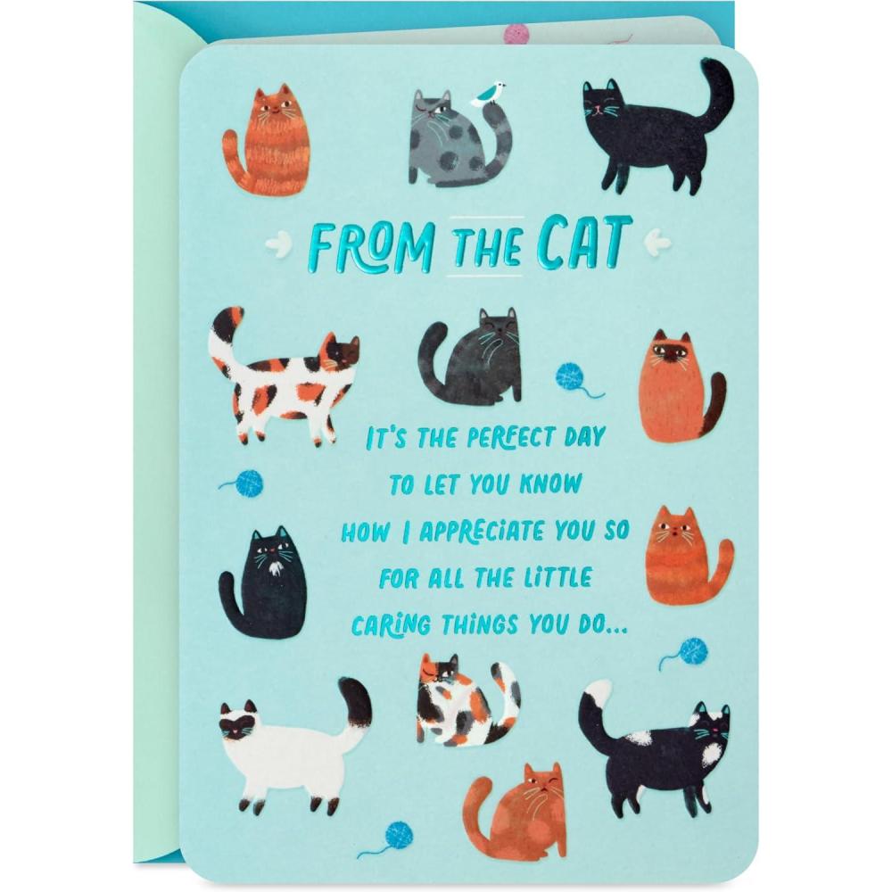 imageHallmark Cat Mom Card from Cat Glad I Adopted You for Mothers Day Birthday Kitten Adoption DayTeal