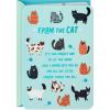 Hallmark Cat Mom Card from Cat (Glad I Adopted You) for Mother’s Day, Birthday, Kitten Adoption Day(Teal)