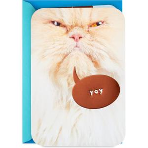 Hallmark Cat Mom Card from Cat (Glad I Adopted You) for Mother’s Day, Birthday, Kitten Adoption Day(Brown)