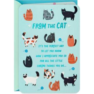 Hallmark Cat Mom Card from Cat (Glad I Adopted You) for Mother’s Day, Birthday, Kitten Adoption Day(Teal)