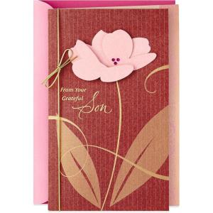 Hallmark Mother’s Day Card from Son (Appreciation from a Grateful Son)