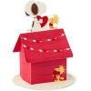 Hallmark Paper Wonder Peanuts Pop Up Valentines Day Card (Snoopy and Woodstock)(Card)