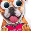 Hallmark Peanuts Valentine’s Day Sound Card for Kids (Snoopy Hug) (699VCG3007)(Dog with Googly Eyes  Valentine’s Card)