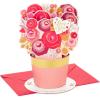 Hallmark Paper Wonder Pop Up Valentines Day Card (Latté)(Love You Bouquet)