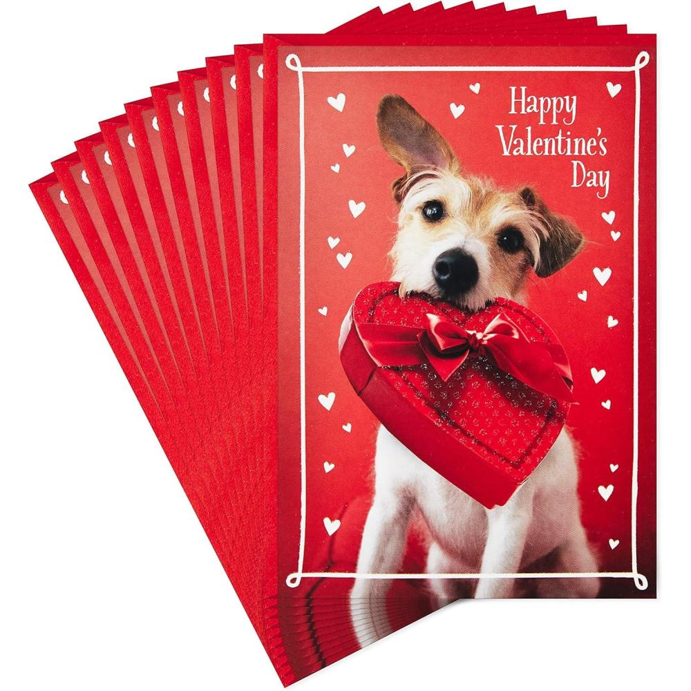 imageHallmark Pack of Valentines Day Cards Dog with Box of Chocolates 10 Valentines Day Cards with EnvelopesDog with Chocolates