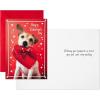 Hallmark Pack of Valentines Day Cards, Dog with Box of Chocolates (10 Valentine’s Day Cards with Envelopes)(Dog with Chocolates)