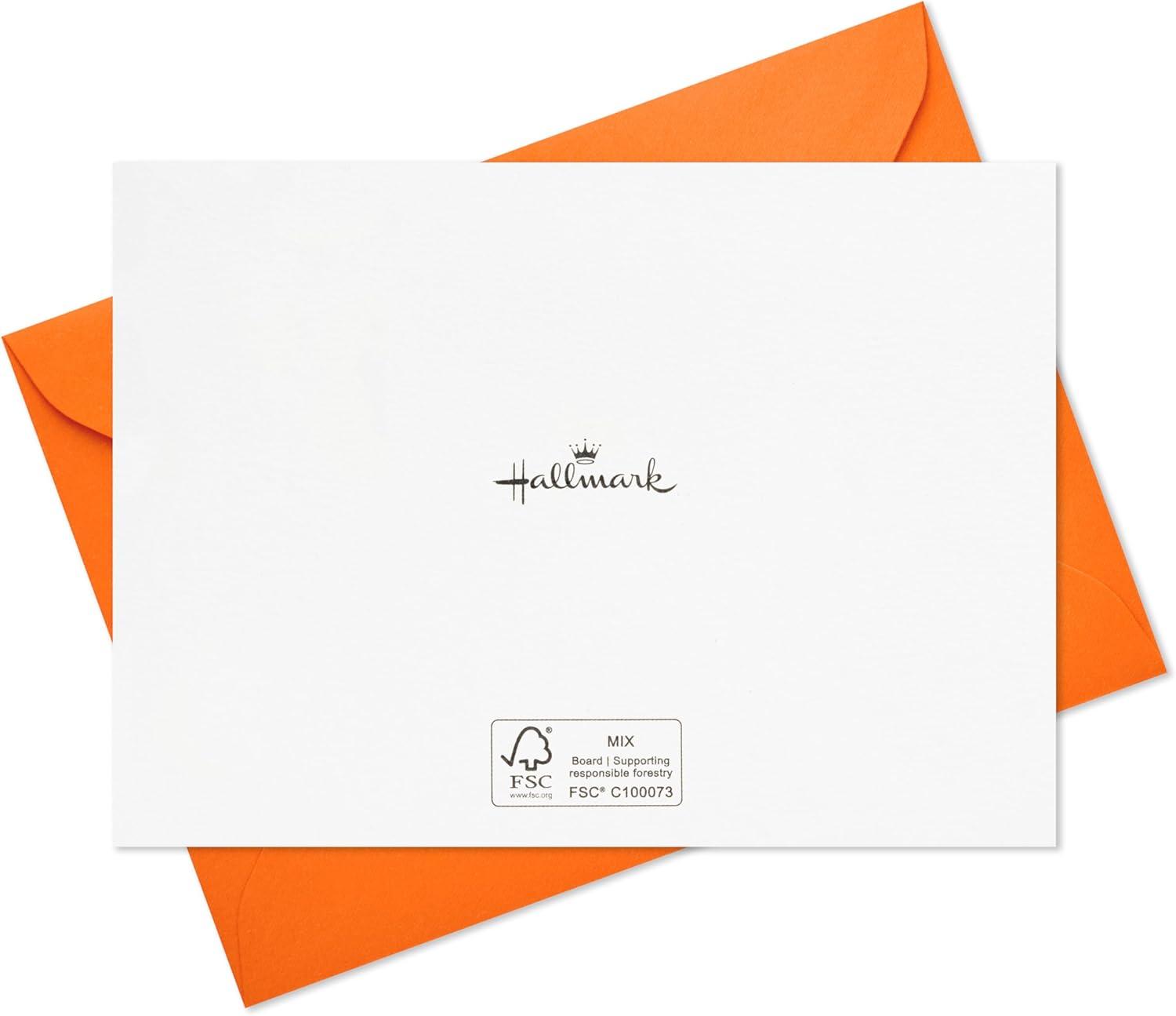 imageHallmark Thank You Notes 40 Cards with Envelopes and Pentel RSVP Ballpoint Pens Pack of 12 for Bridal Showers Birthdays Graduation Any Occasion