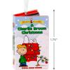 Hallmark A Charlie Brown Christmas Retro Video Cassette Case Christmas Ornament, Christmas Movie Gifts