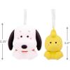 Hallmark Better Together Harry Potter and Hedwig Magnetic Christmas Ornaments, Set of 2(Snoopy & Woodstock)