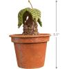 Hallmark Keepsake Christmas Ornament 2025, Harry Potter Mandrake with Sound, Gifts for Harry Potter Fans(Potted Mandrake)