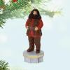 Hallmark Keepsake Christmas Ornament 2025, Harry Potter and The Chamber of Secrets Collection Hagrid with Light and Sound, Gifts for Harry Potter Fans(Hagrid)