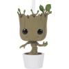 Groot
