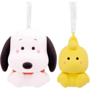 Hallmark Better Together Harry Potter and Hedwig Magnetic Christmas Ornaments, Set of 2(Snoopy & Woodstock)