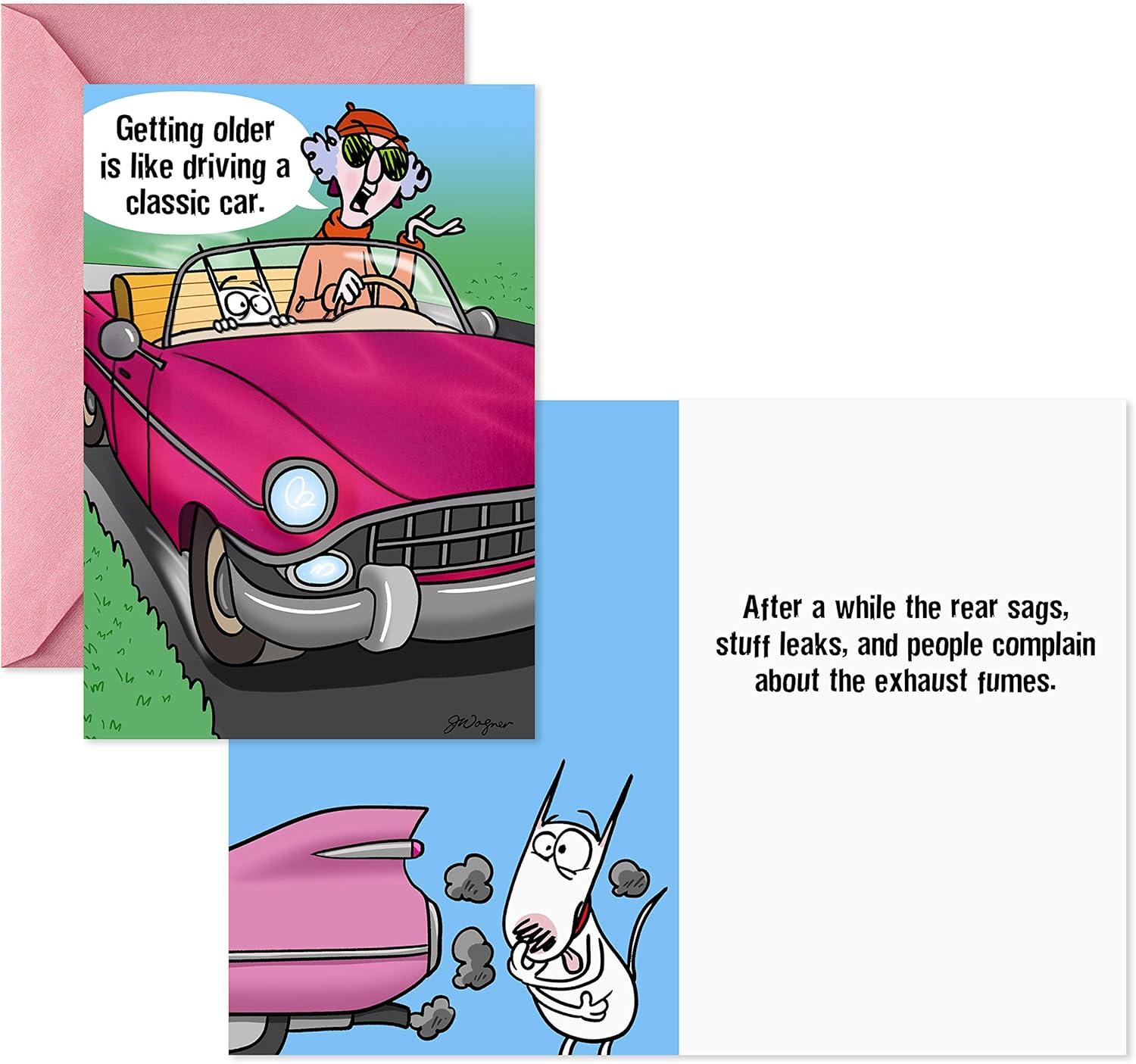 imageHallmark Shoebox Maxine All Occasions Card Assortment 6 Cards with Envelopes Model1599RZG1001Green