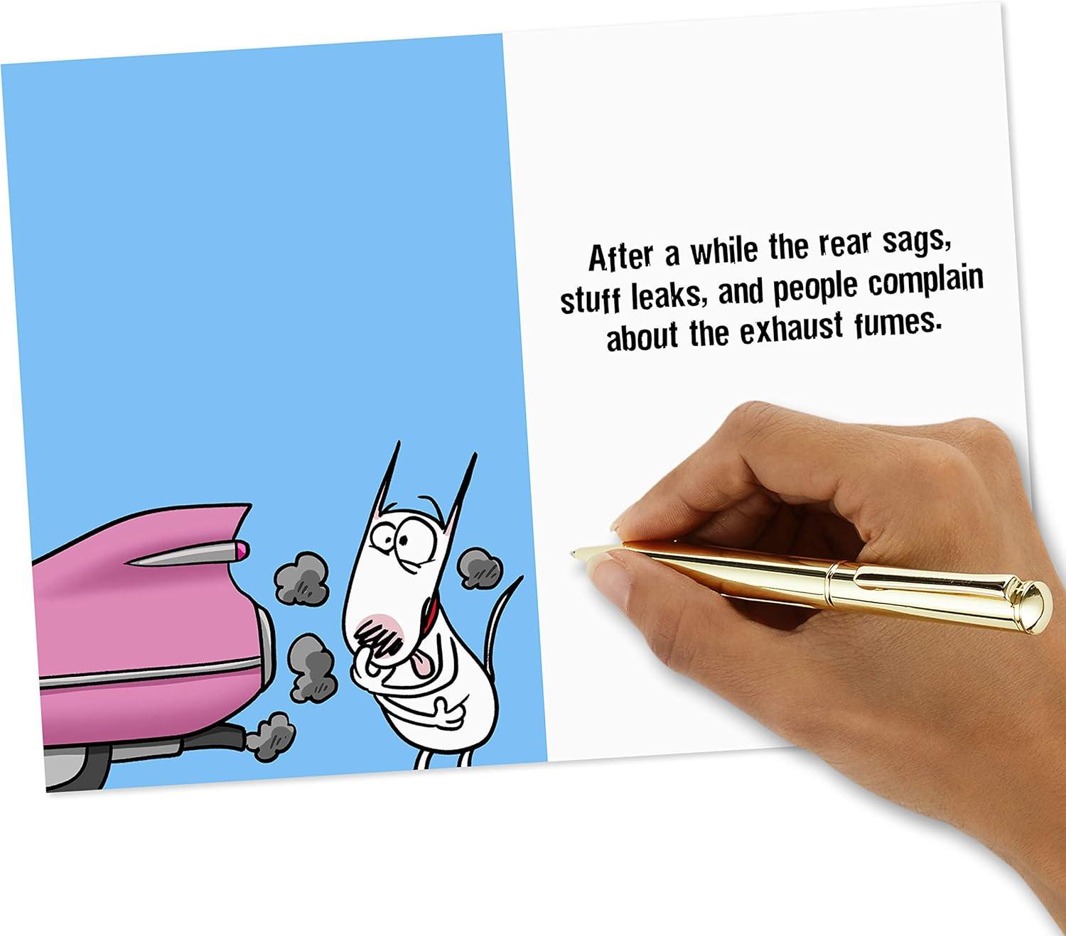 imageHallmark Shoebox Maxine All Occasions Card Assortment 6 Cards with Envelopes Model1599RZG1001Green