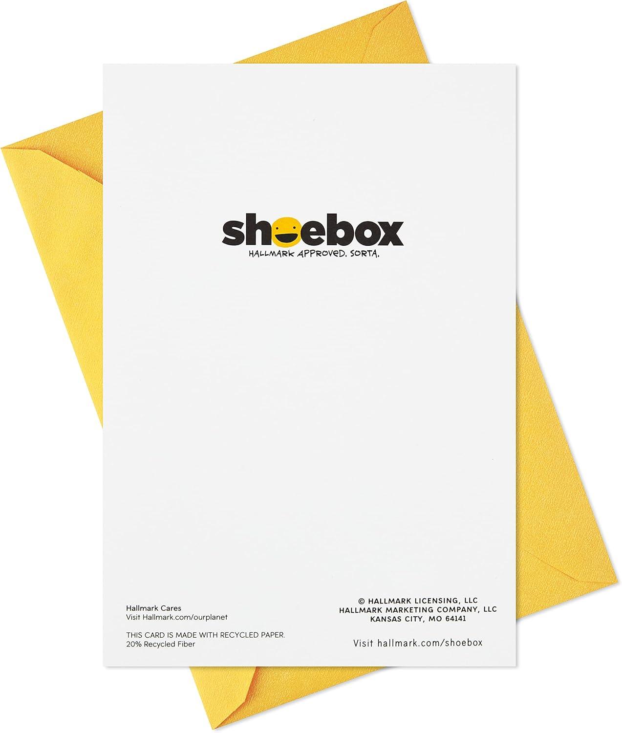 imageHallmark Shoebox Pack of 2 Funny Birthday Cards Toast and Goldfish