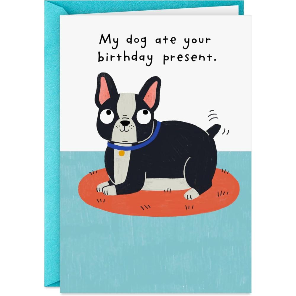 imageHallmark Shoebox Funny Birthday Card My Dog Ate Your Present