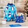 Hallmark Blue Drawstring Gift Bag Bundle (2 Fabric Gift Bags: 1 Medium 10″, 1 Large 19″) Snowmen, Penguins, Snowflakes for Christmas, Hanukkah, Holidays, Birthdays(Blue Holiday Fabric Bag)