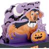 Hallmark Paper Wonder Shoebox Funny Pop Up Halloween Card (Happy Hallowiener)(Happy Hallowiener)