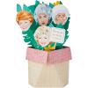 Hallmark Paper Wonder Shoebox Golden Girls Pop Up Card (Thank You for Being a Friend)(Thank You for Being a Friend)