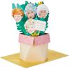Hallmark Paper Wonder Shoebox Golden Girls Pop Up Card (Thank You for Being a Friend)(Thank You for Being a Friend)