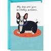 Hallmark Shoebox Funny Birthday Card (My Dog Ate Your Present)