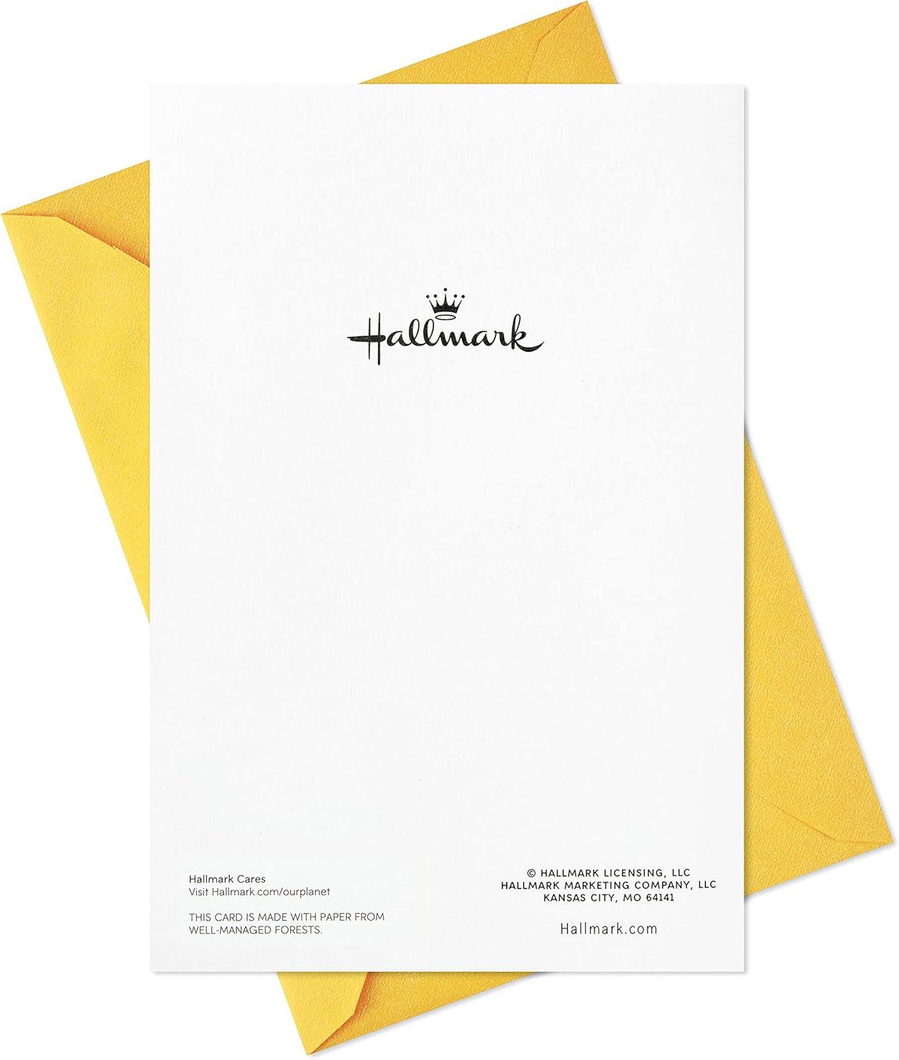 imageHallmark Thank You Cards Assortment Thanks a Million 12 Cards and Envelopes