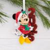 Hallmark Disney Minnie Mouse 2025 Christmas Ornament, Gifts for Disney Fans