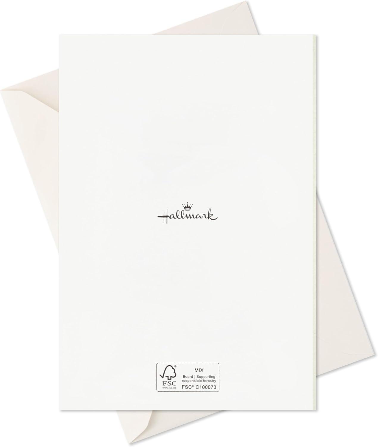 imageHallmark Birthday Cards Assortment Balloons Cake Flowers 12 Cards with EnvelopesMulticolor