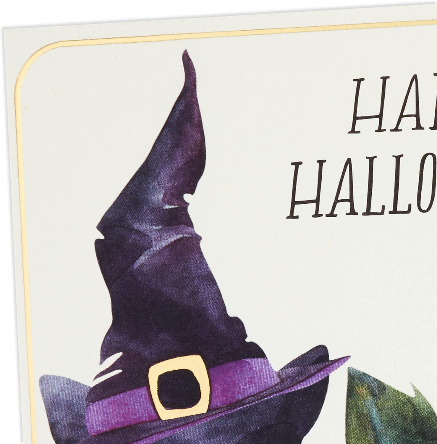 imageHallmark Thanksgiving Cards Assortment Give Thanks 8 Cards with EnvelopesCat in Witch Hat Cards 6 Pack
