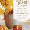 Hallmark Dayspring Pack of Religious Thanksgiving Cards, Give Thanks (10 Cards with Envelopes), 799THJ1069(Give Thanks  10 Cards)