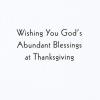 Hallmark Dayspring Pack of Religious Thanksgiving Cards, Give Thanks (10 Cards with Envelopes), 799THJ1069(Give Thanks  10 Cards)