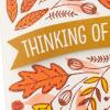 Hallmark Pack of Thanksgiving Cards, Close in Thought and Heart (10 Cards with Envelopes)(Thinking of You)